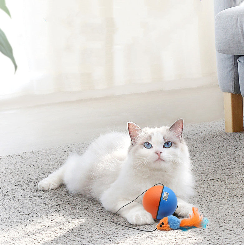 KFX-2062269 Interactive Cat Toy Ball for Intelligent Play and Dental Care - 84.5mm, Plastic, 120g