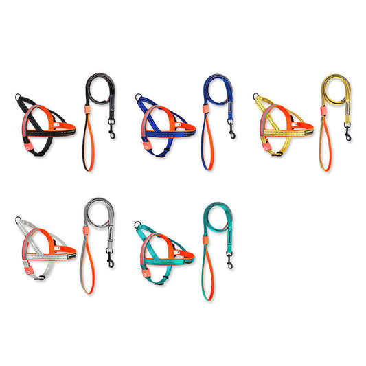 KFX-2063421 LED Nylon Dog Leash for Medium-Sized Pets - Vibrant Color Design