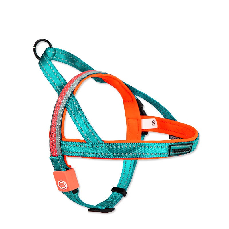KFX-2063421 LED Nylon Dog Leash for Medium-Sized Pets - Vibrant Color Design