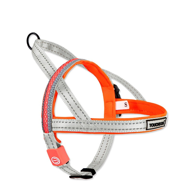 KFX-2063421 LED Nylon Dog Leash for Medium-Sized Pets - Vibrant Color Design