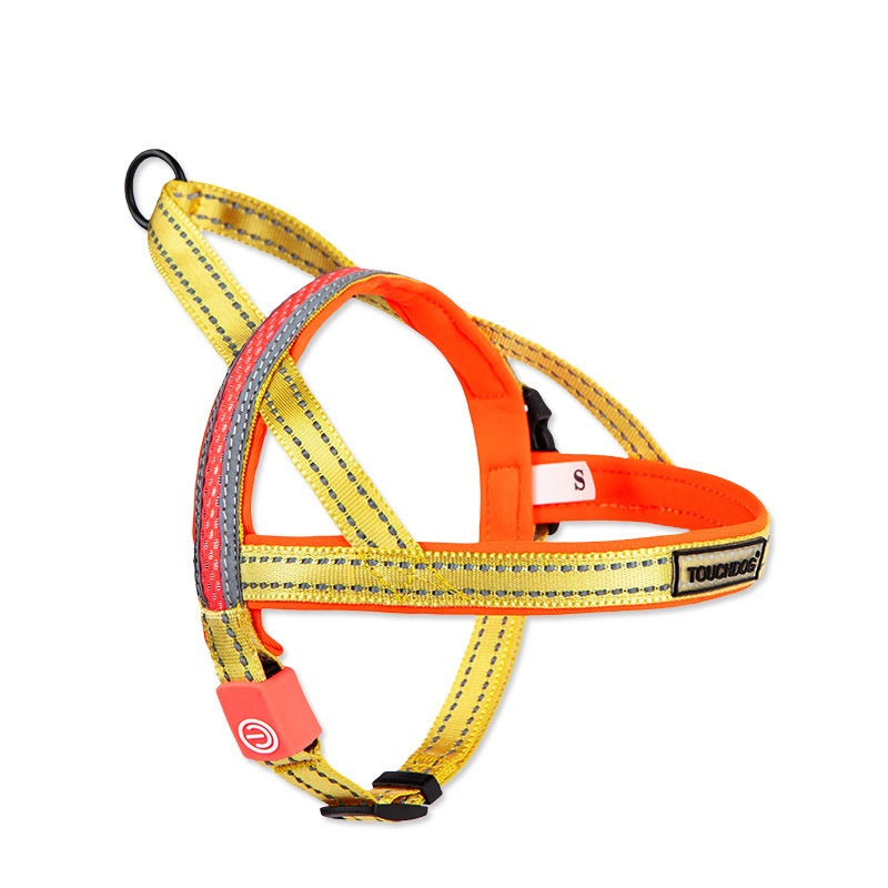 KFX-2063421 LED Nylon Dog Leash for Medium-Sized Pets - Vibrant Color Design