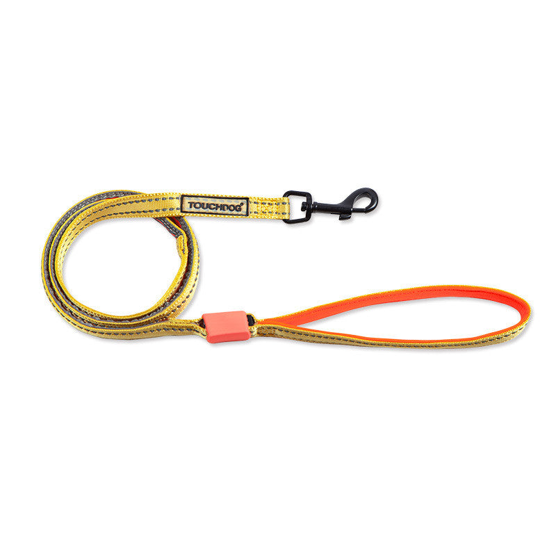 KFX-2063421 LED Nylon Dog Leash for Medium-Sized Pets - Vibrant Color Design
