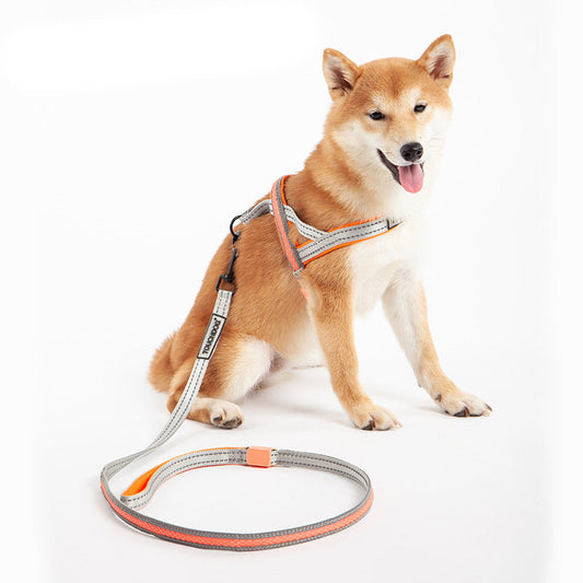 KFX-2063421 LED Nylon Dog Leash for Medium-Sized Pets - Vibrant Color Design