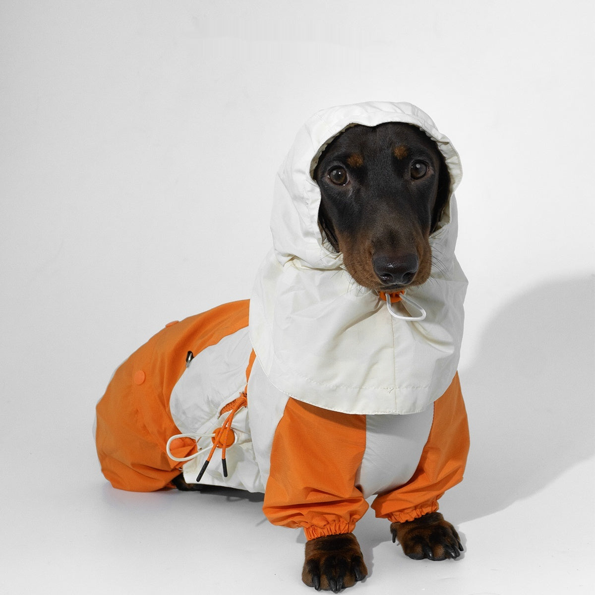 KFX-2067005 Pet Winter Sports Raincoat - Casual Color Matching Clothing for Pets