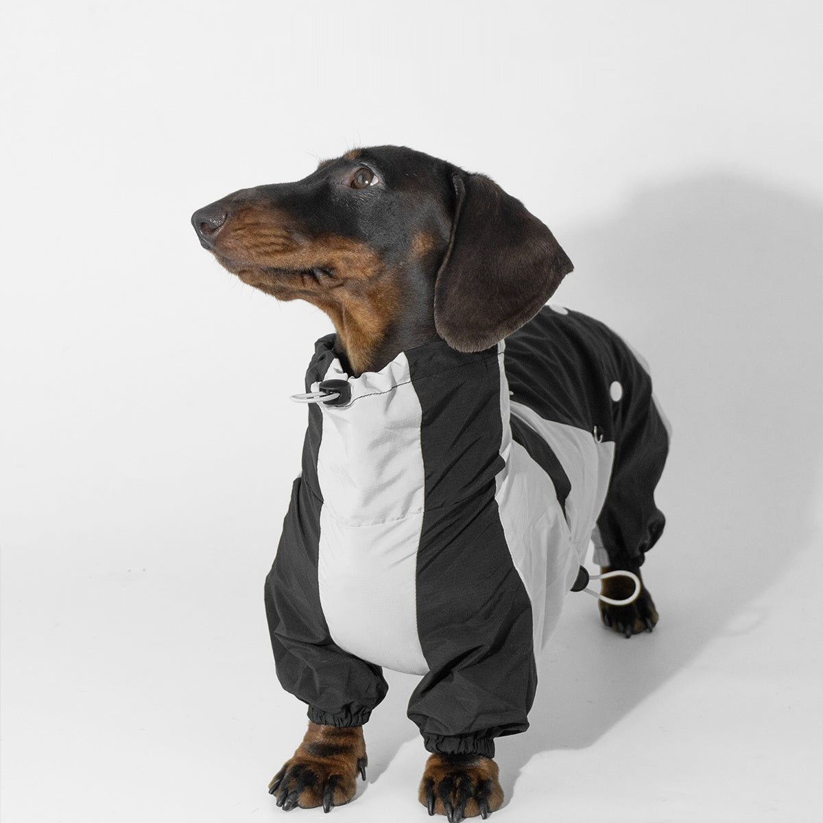 KFX-2067005 Pet Winter Sports Raincoat - Casual Color Matching Clothing for Pets