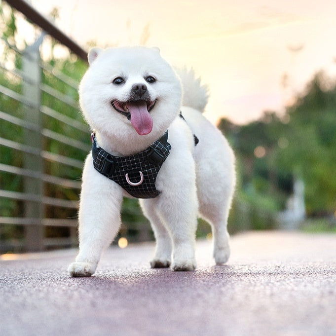 KFX-2068669 LED Dog Chest Harness with Traction for Outdoor Night Safety