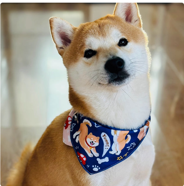 KFX-2072765 Reversible Shiba Inu Triangular Scarf for Small Dogs - Pink/Blue & Dark Blue/Pink Options