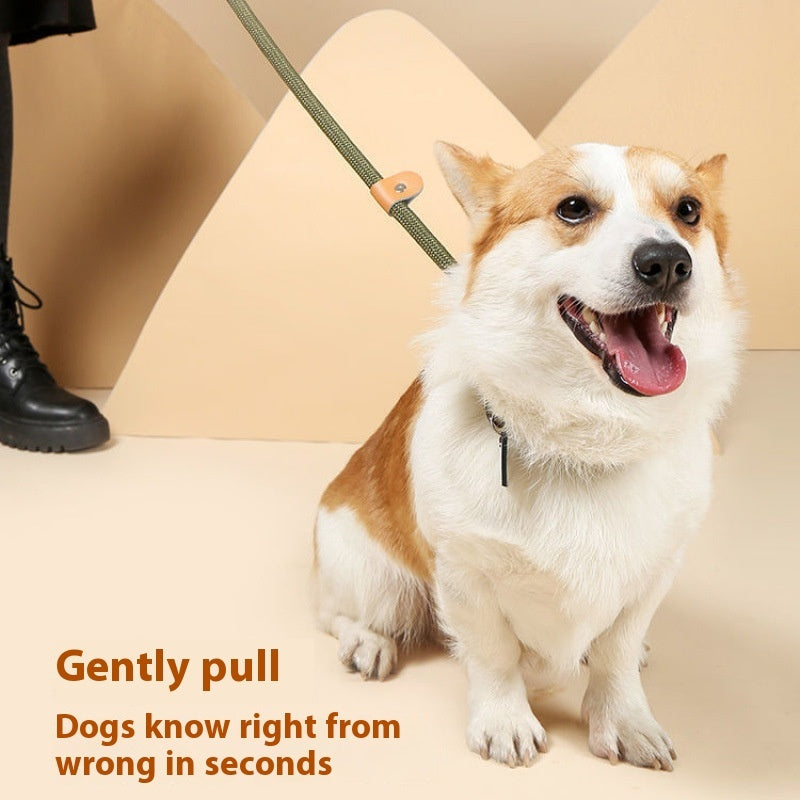 KFX-2074941 Durable Nylon Dog Walking Training Rope - Various Colors & Lengths Available