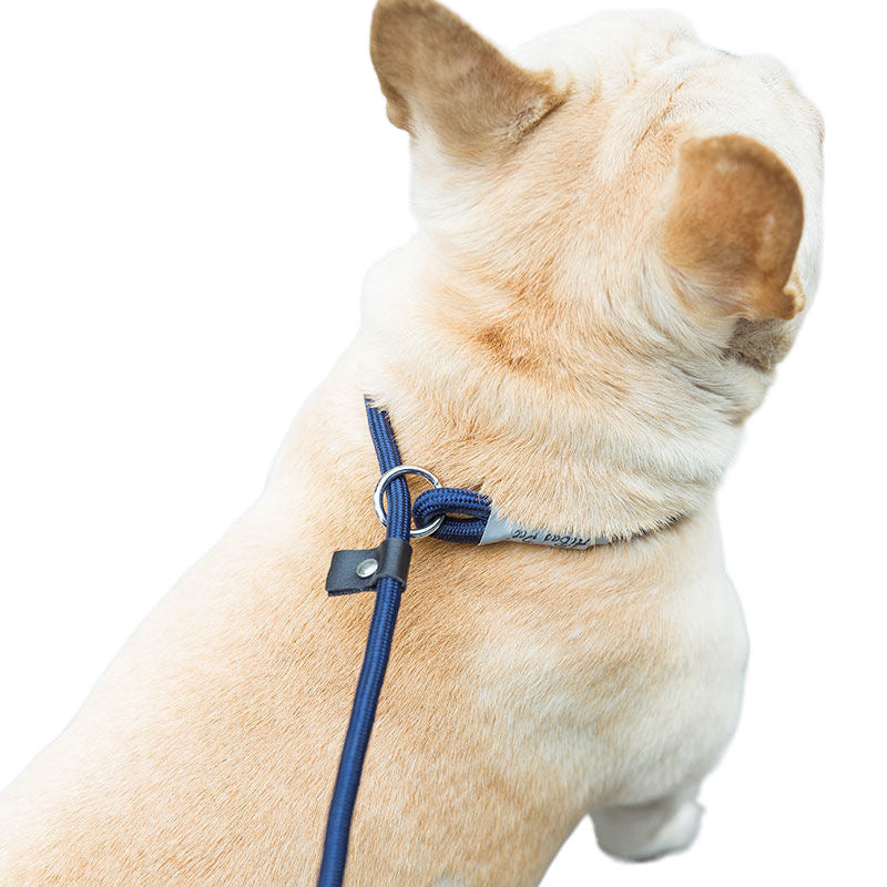 KFX-2074941 Durable Nylon Dog Walking Training Rope - Various Colors & Lengths Available