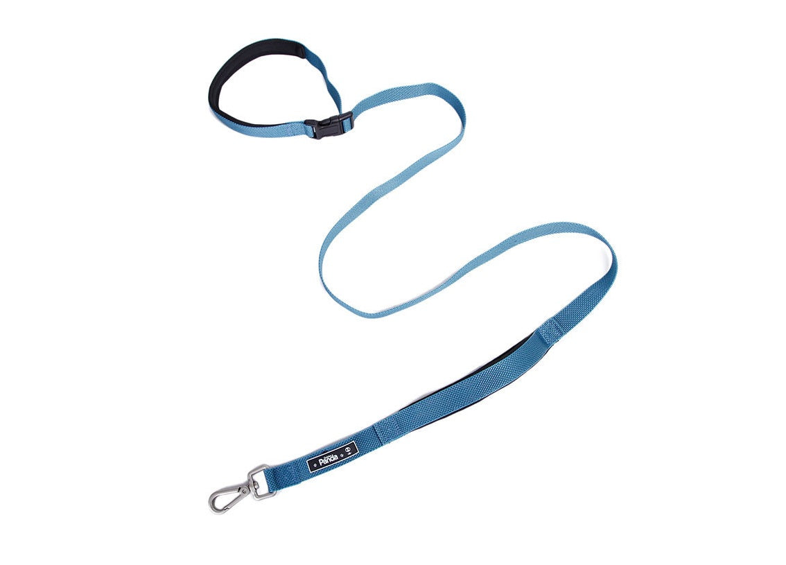 KFX-2080701 Foam Traction Belt for Dogs - Nylon + Metal + Plastic, Available in Blue, Red, Army Green, Silver Gray, 15mm or 25mm Width, 180cm Length