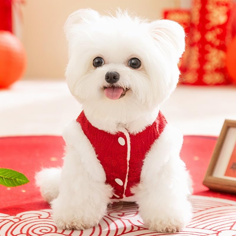 KFX-2085437 Cozy Cotton Winter Dog Outfit for Small Dogs - Chinese New Year Style Clothing