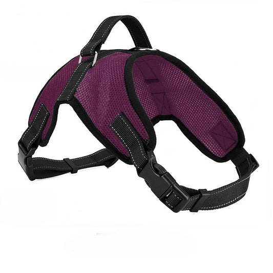KFX-2085949 Breathable Mesh Dog Harness with Leash - Available in Multiple Sizes and Colors