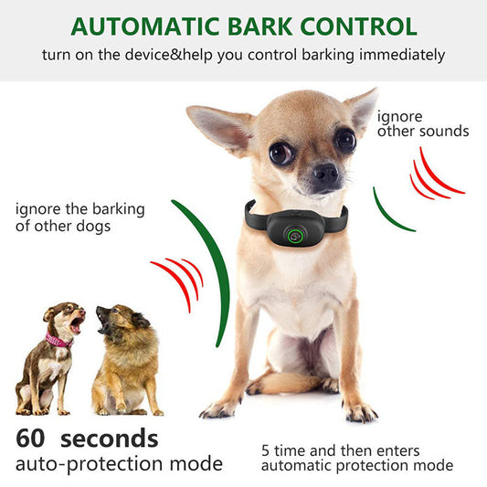 KFX-2088637 Remote Control Training Device for Dogs - Plastic Collars in Orange and Black, Suitable for All Seasons