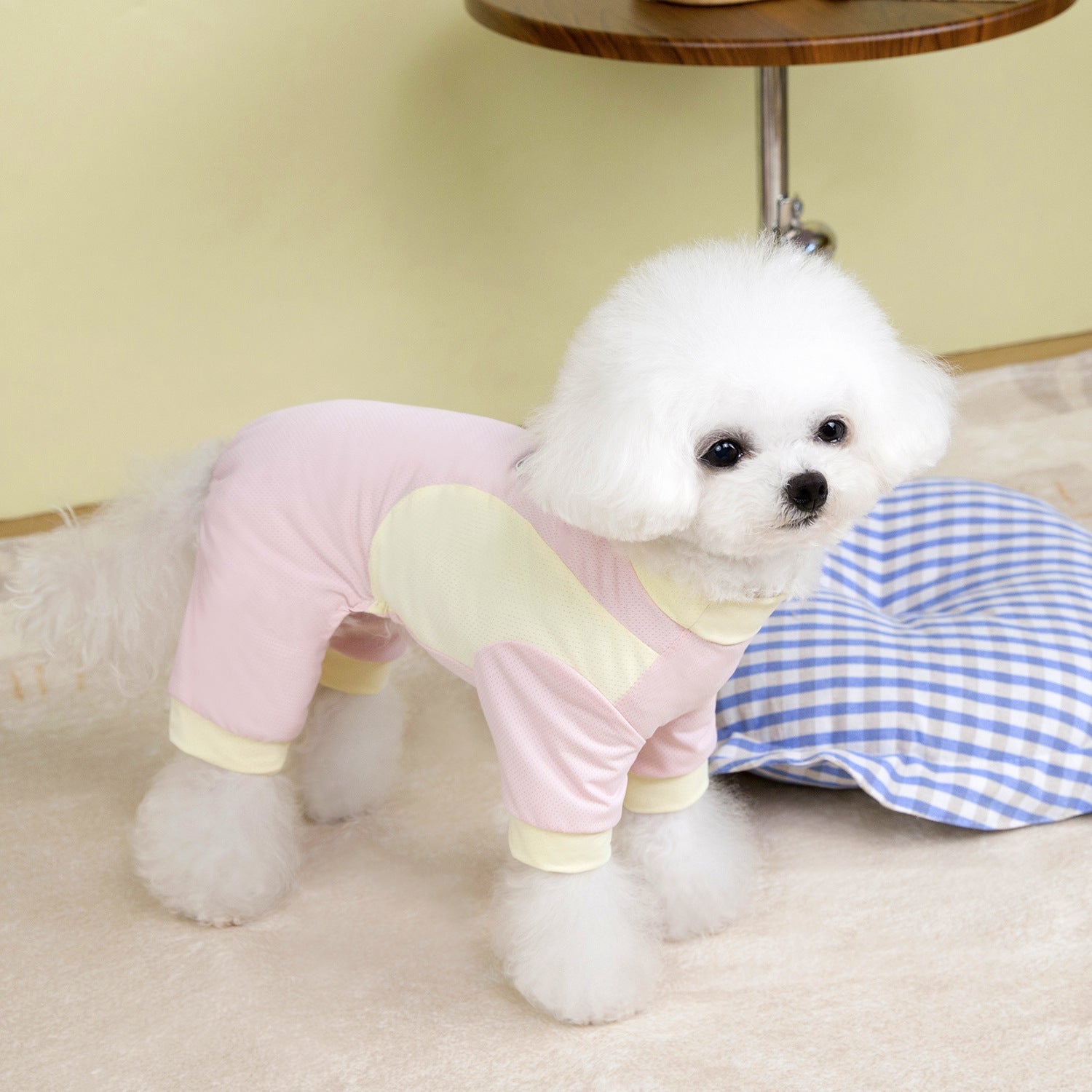 KFX-2091197 Lightweight Ice Silk Mesh Anti-Pet Sun Protection Suit for Pets