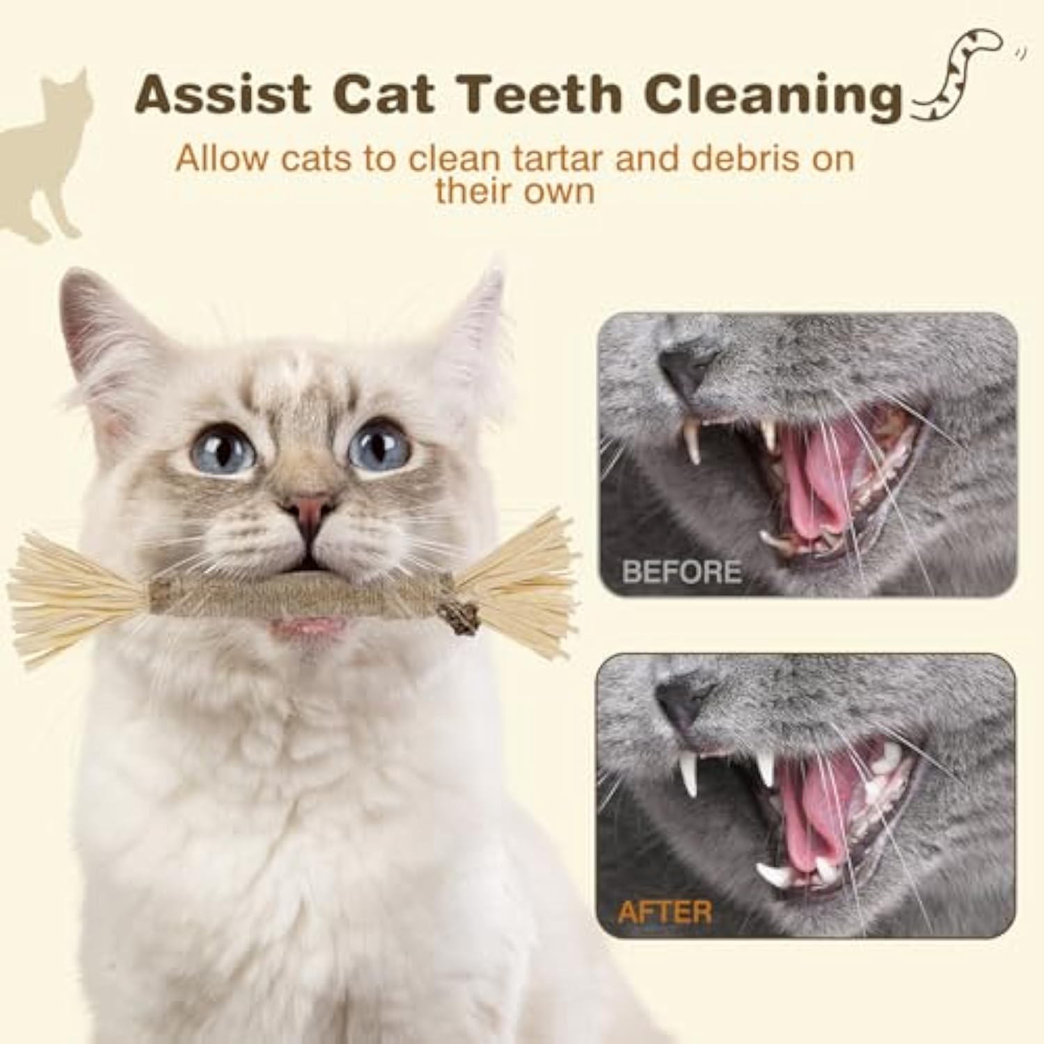 KFX-2099645 Silvervine Cat Chew Sticks for Dental Care - Natural and Edible Chew Toys for Indoor Cats