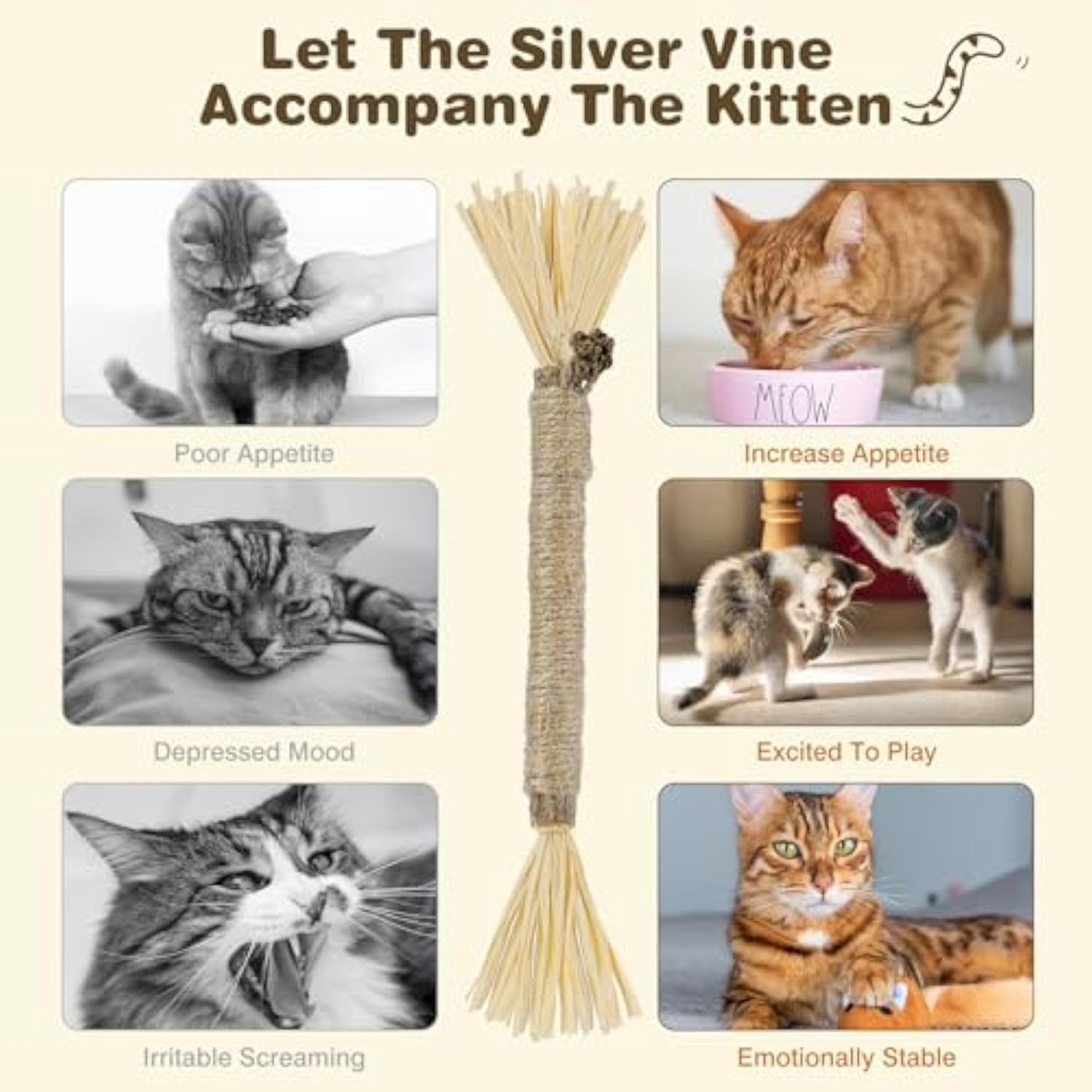 KFX-2099645 Silvervine Cat Chew Sticks for Dental Care - Natural and Edible Chew Toys for Indoor Cats