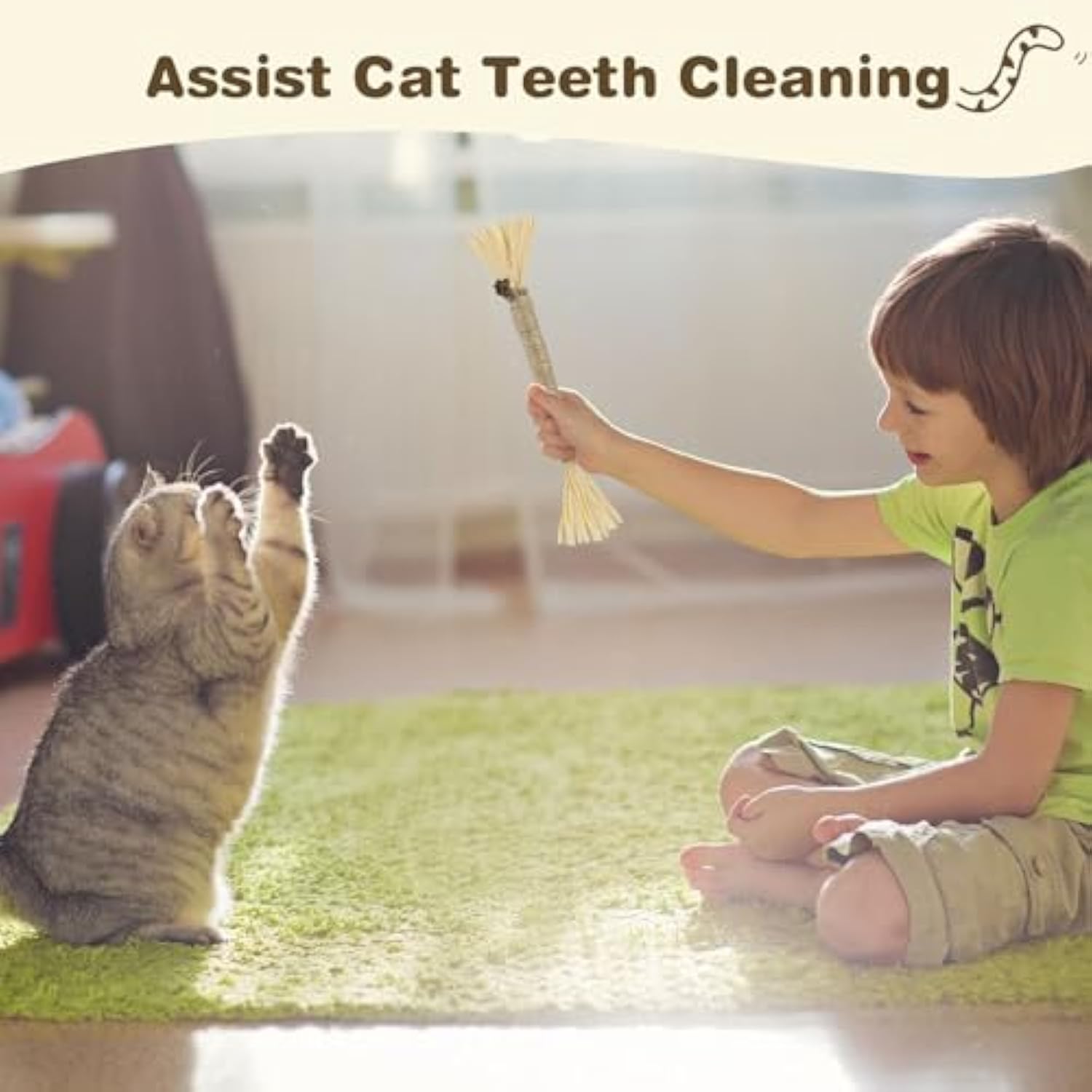 KFX-2099645 Silvervine Cat Chew Sticks for Dental Care - Natural and Edible Chew Toys for Indoor Cats