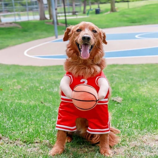 KFX-2099773 Creative Red and Yellow Dog Basketball Costume with Ball for Pets, Available in Small, Medium, and Large Sizes