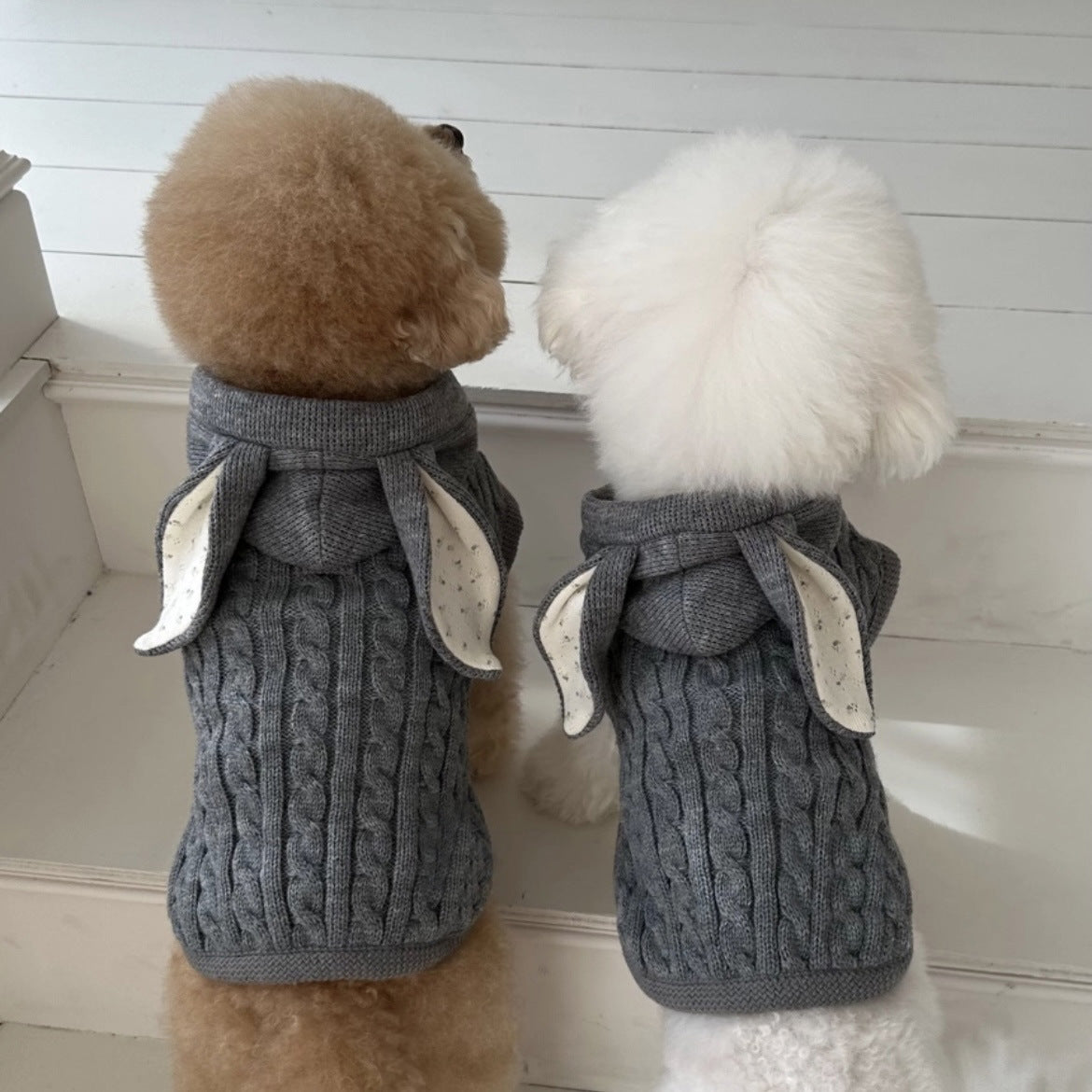 KFX-2105917 Heather Gray Wool Pet Cape and Shawl for Dogs and Cats, Available in S, M, L, XL