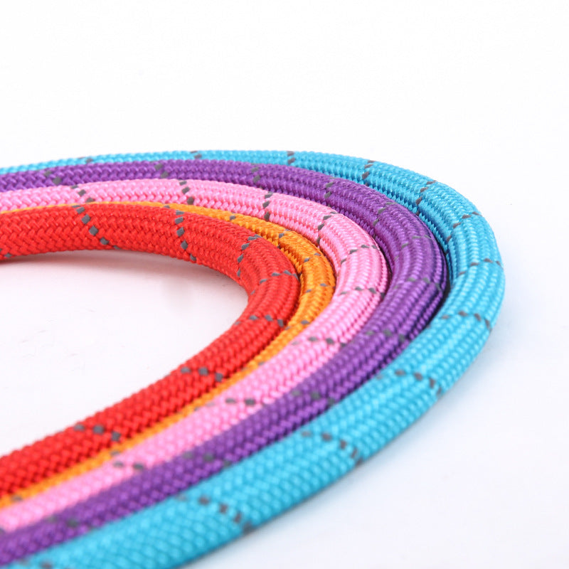 KFX-2107709 Reflective Nylon Leash for Hyenas - Durable and Safe Design