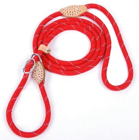 KFX-2107709 Reflective Nylon Leash for Hyenas - Durable and Safe Design