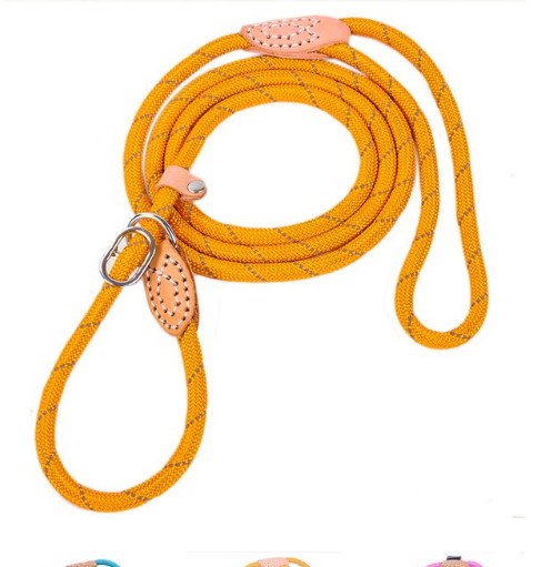 KFX-2107709 Reflective Nylon Leash for Hyenas - Durable and Safe Design