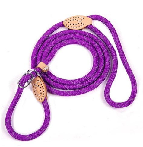 KFX-2107709 Reflective Nylon Leash for Hyenas - Durable and Safe Design