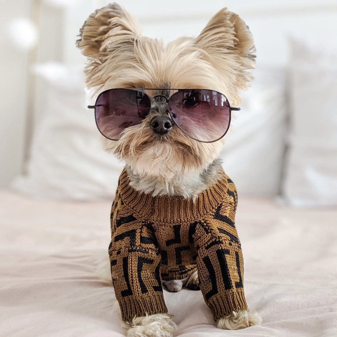 KFX-2111677 Casual Brown Sweater for Medium and Large Puppies in Wool