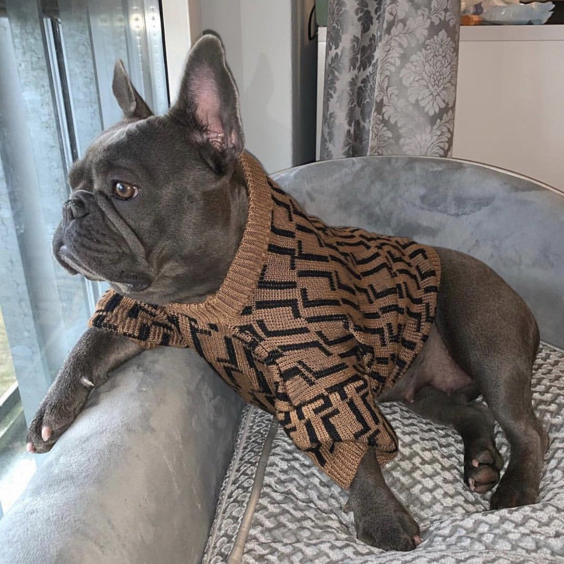 KFX-2111677 Casual Brown Sweater for Medium and Large Puppies in Wool