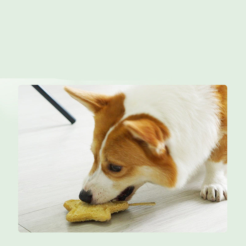 KFX-2114493 Durable Loofah Chew Toy for Puppies – Star and Bone Shape Teething Aid