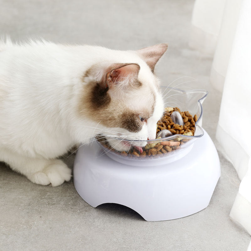 KFX-2119613 Transparent Plastic Cat Bowl with Oblique Mouth Design for Cervical Spine Protection