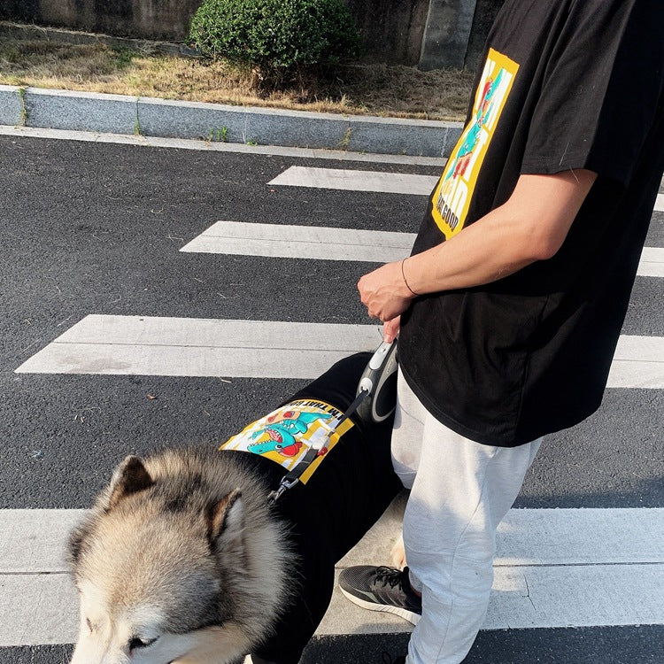 KFX-2121789 Cute Parent-Child Anti-Fluff Pet Clothes with Skateboard Dinosaur Print in Stylish Cotton