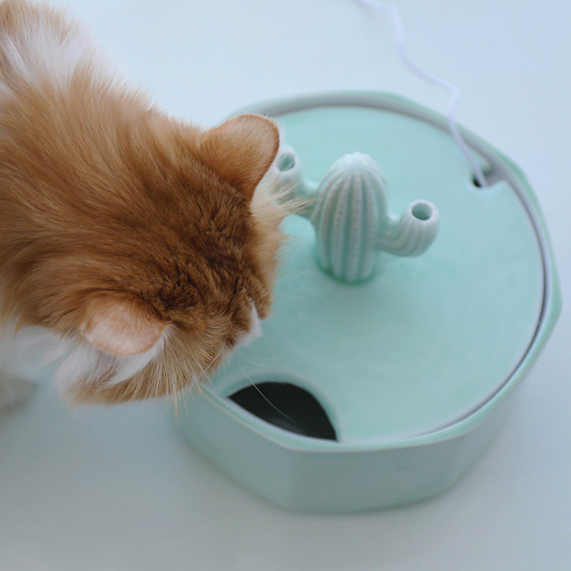 KFX-2131133 Cactus Cat Drinking Fountain - Ceramic Automatic Water Dispenser with USB Pump, 2000ml Capacity
