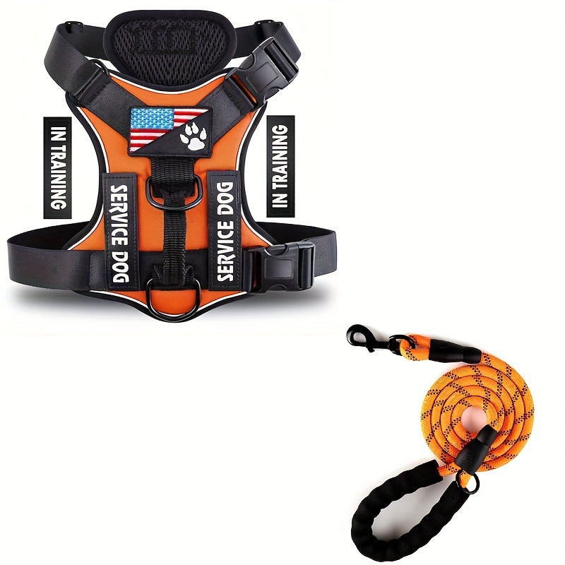 KFX-2132541 Durable Nylon Dog Leash with Chest Strap in Multiple Colors
