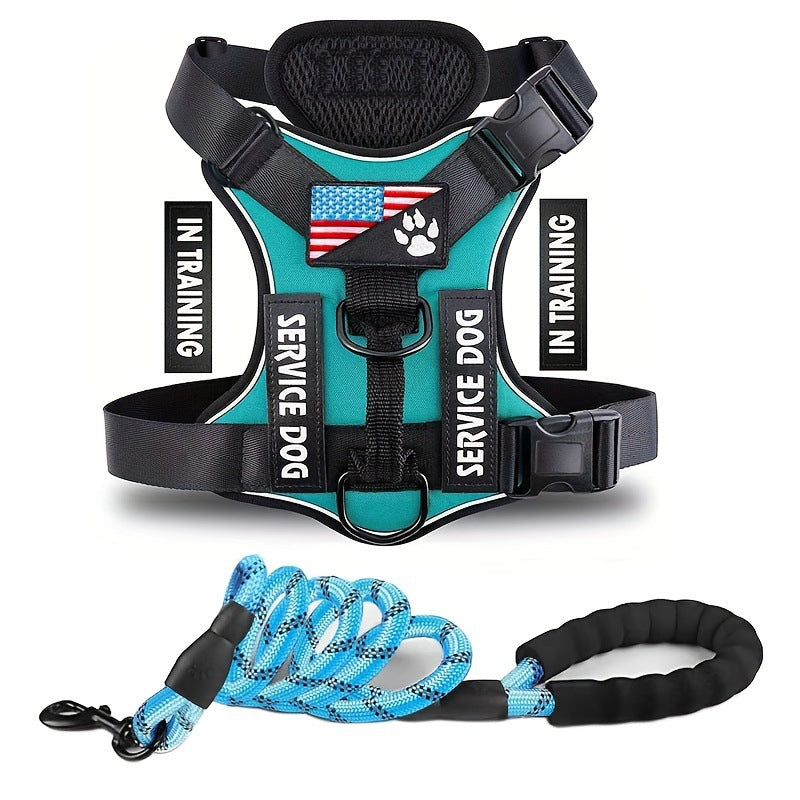 KFX-2132541 Durable Nylon Dog Leash with Chest Strap in Multiple Colors