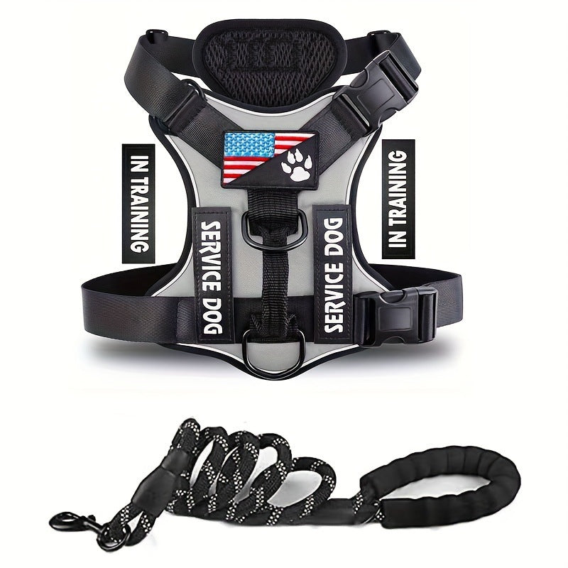 KFX-2132541 Durable Nylon Dog Leash with Chest Strap in Multiple Colors