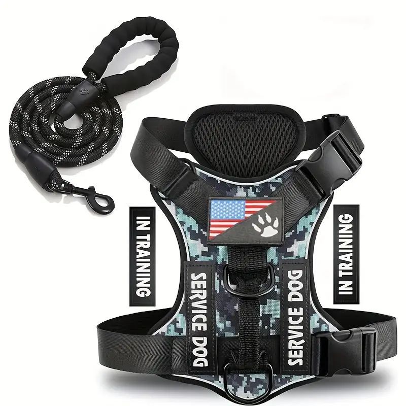KFX-2132541 Durable Nylon Dog Leash with Chest Strap in Multiple Colors