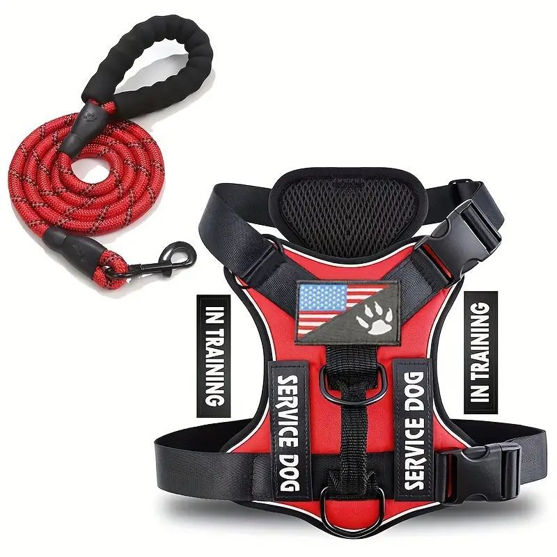 KFX-2132541 Durable Nylon Dog Leash with Chest Strap in Multiple Colors