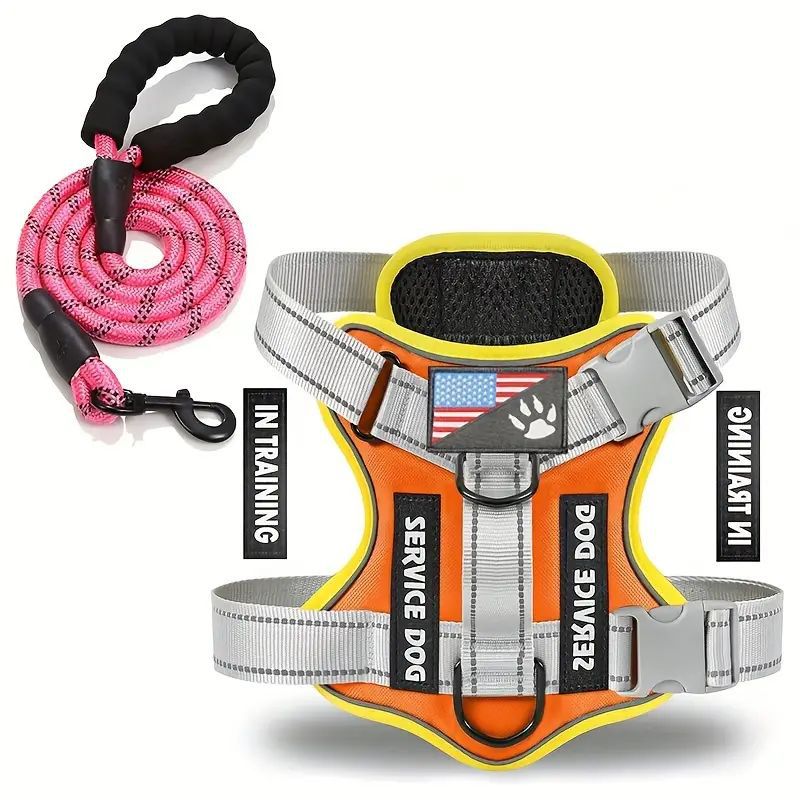 KFX-2132541 Durable Nylon Dog Leash with Chest Strap in Multiple Colors