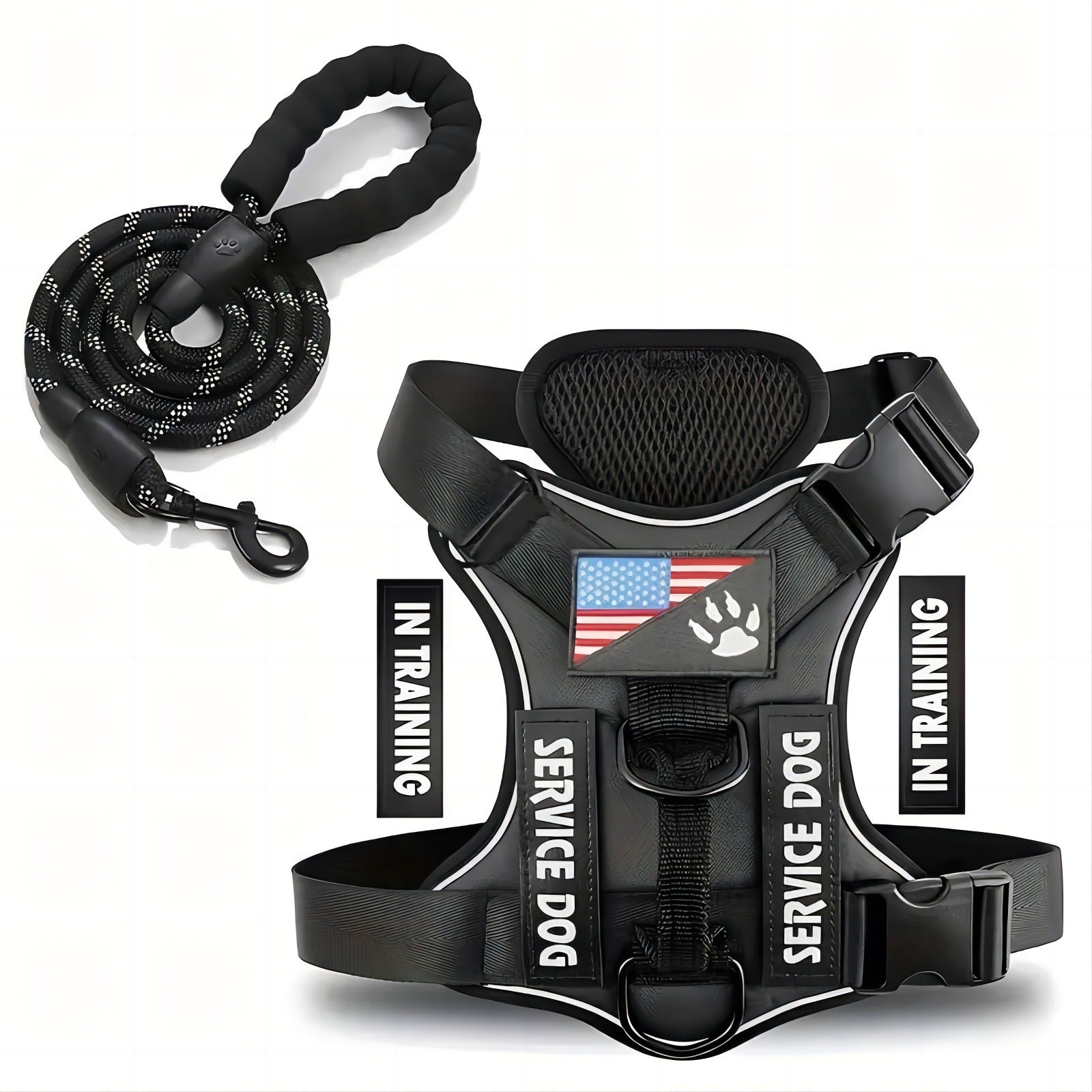KFX-2132541 Durable Nylon Dog Leash with Chest Strap in Multiple Colors