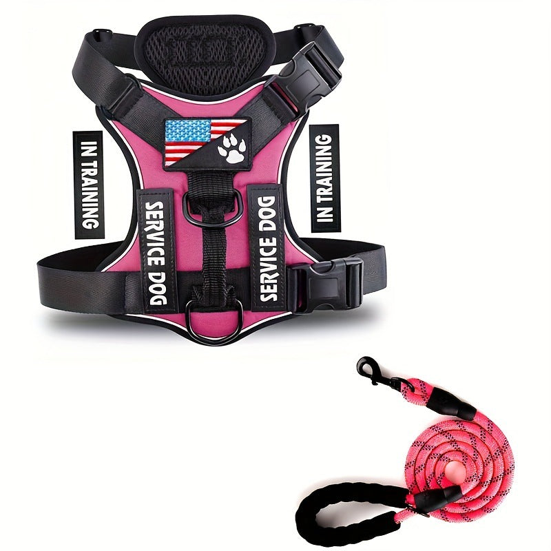 KFX-2132541 Durable Nylon Dog Leash with Chest Strap in Multiple Colors