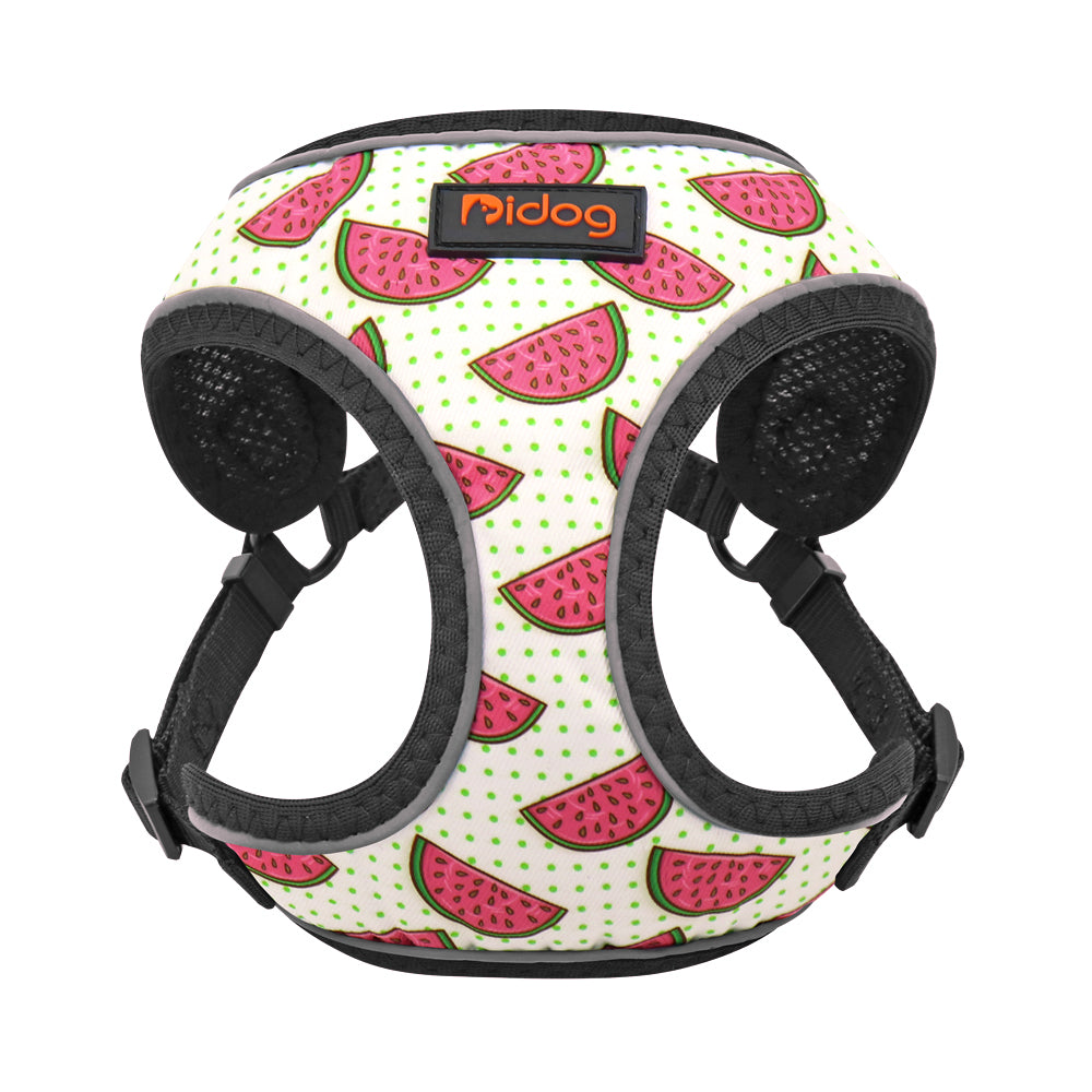 KFX-2134205 Adjustable Dog Leash Vest for Small Dogs with Anti-Strike Design, Available in Various Fun Styles