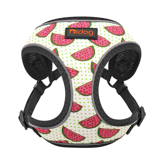 KFX-2134205 Adjustable Dog Leash Vest for Small Dogs with Anti-Strike Design, Available in Various Fun Styles