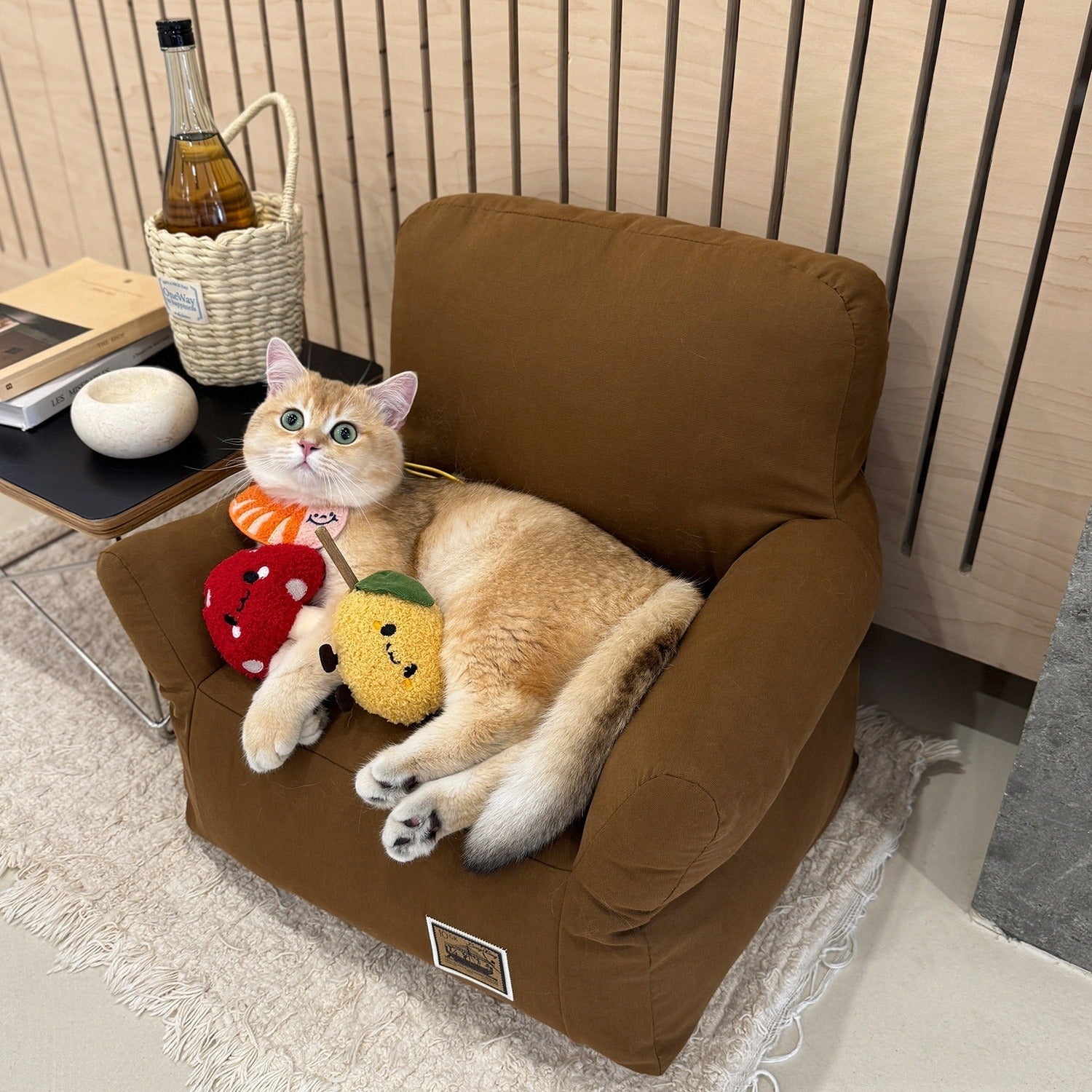 KFX-2134973 Cozy Removable and Washable Small Pet Sofa Bed for Cats and Dogs - Available in Multiple Colors