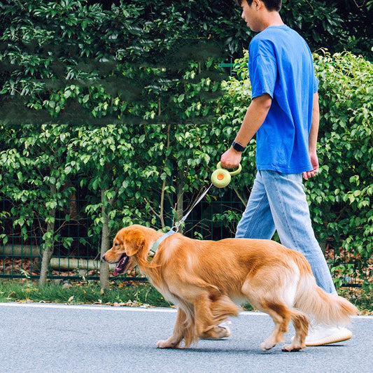 KFX-2151997 Retractable Dog Leash with Reflective Rope - Automatic Traction Belt for Comfortable Walks