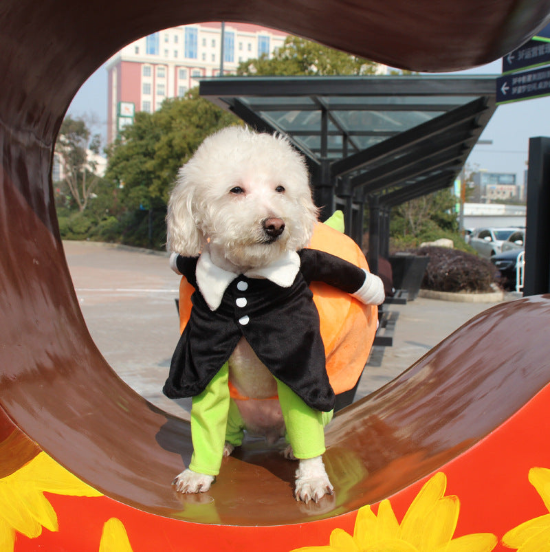 KFX-2156349 Halloween Pumpkin Pet Costume for Dogs - Soft Velvet Material, Multiple Sizes Available