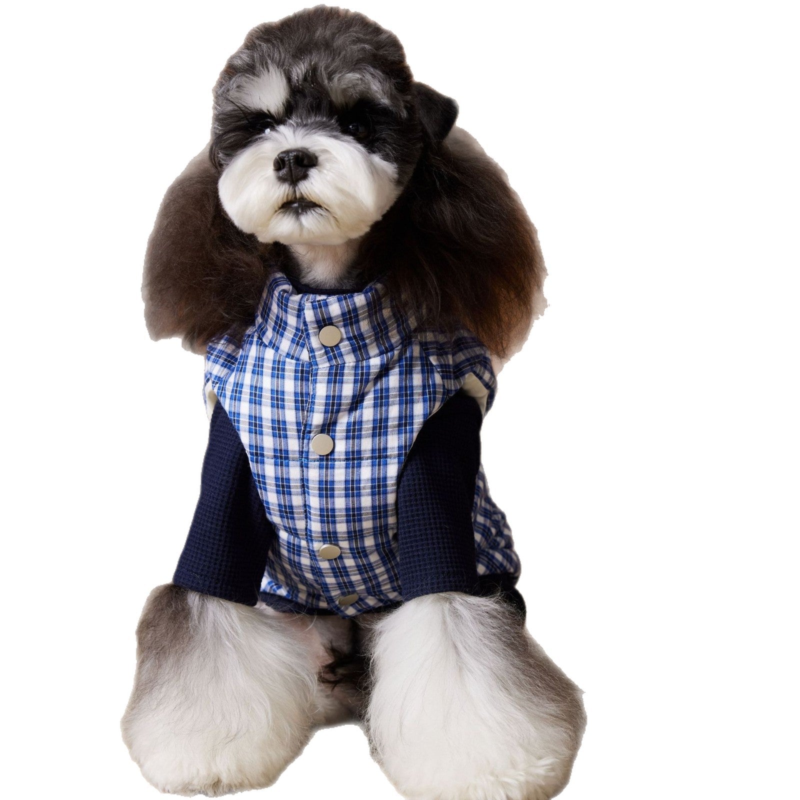 KFX-2156733 Blue Plaid Down Vest for Dogs - Autumn and Winter Casual Wear, Various Sizes Available