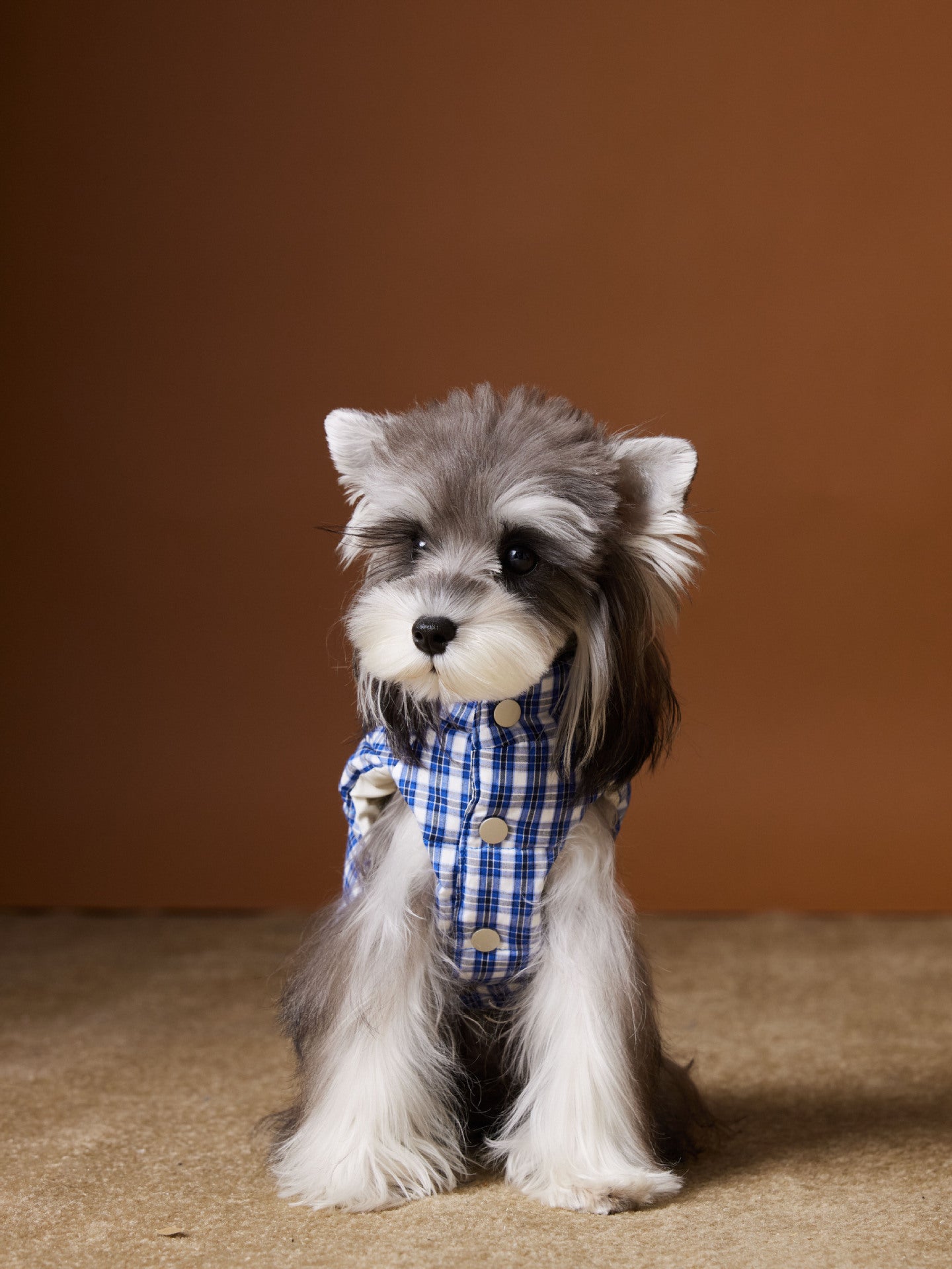 KFX-2156733 Blue Plaid Down Vest for Dogs - Autumn and Winter Casual Wear, Various Sizes Available