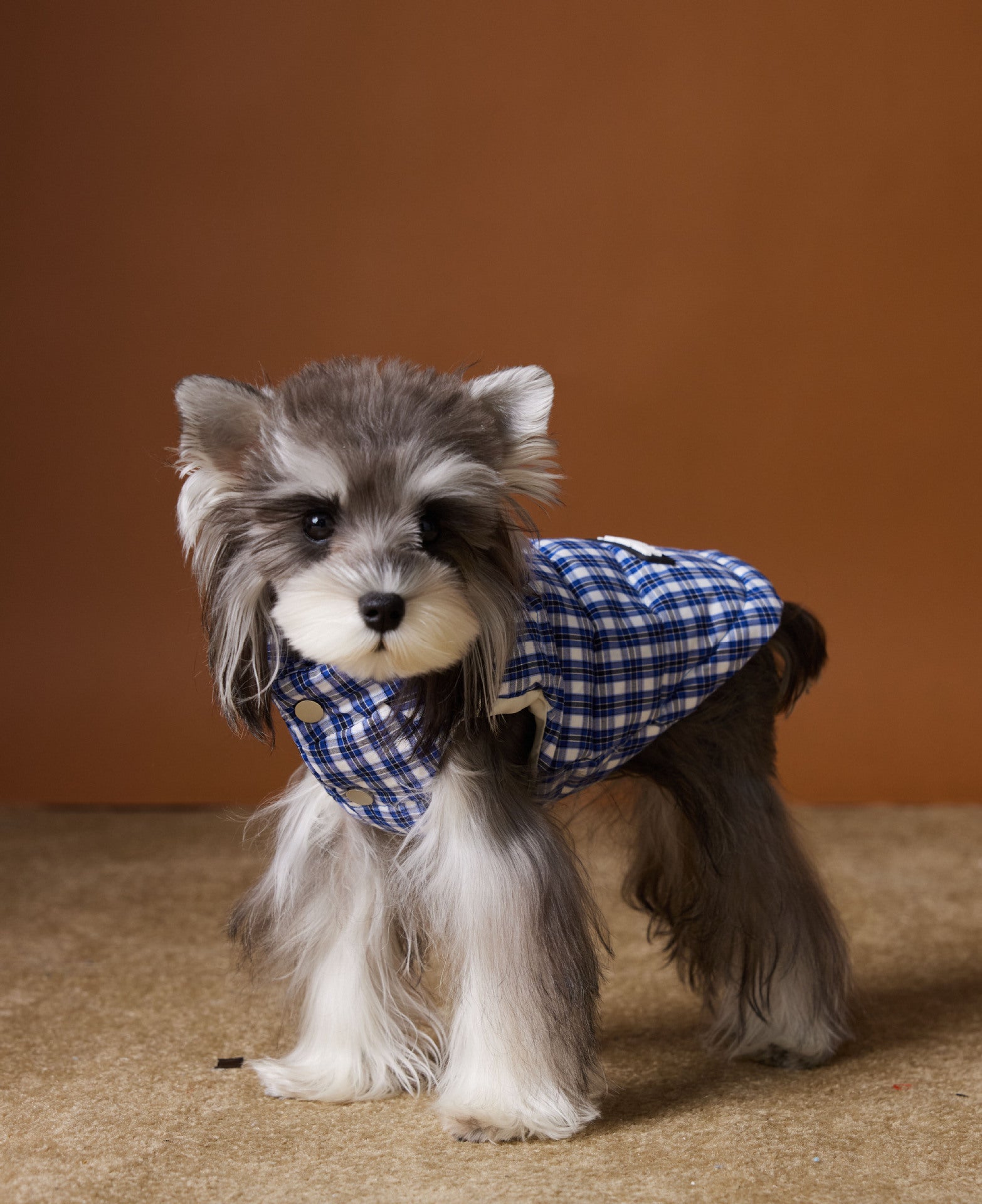 KFX-2156733 Blue Plaid Down Vest for Dogs - Autumn and Winter Casual Wear, Various Sizes Available
