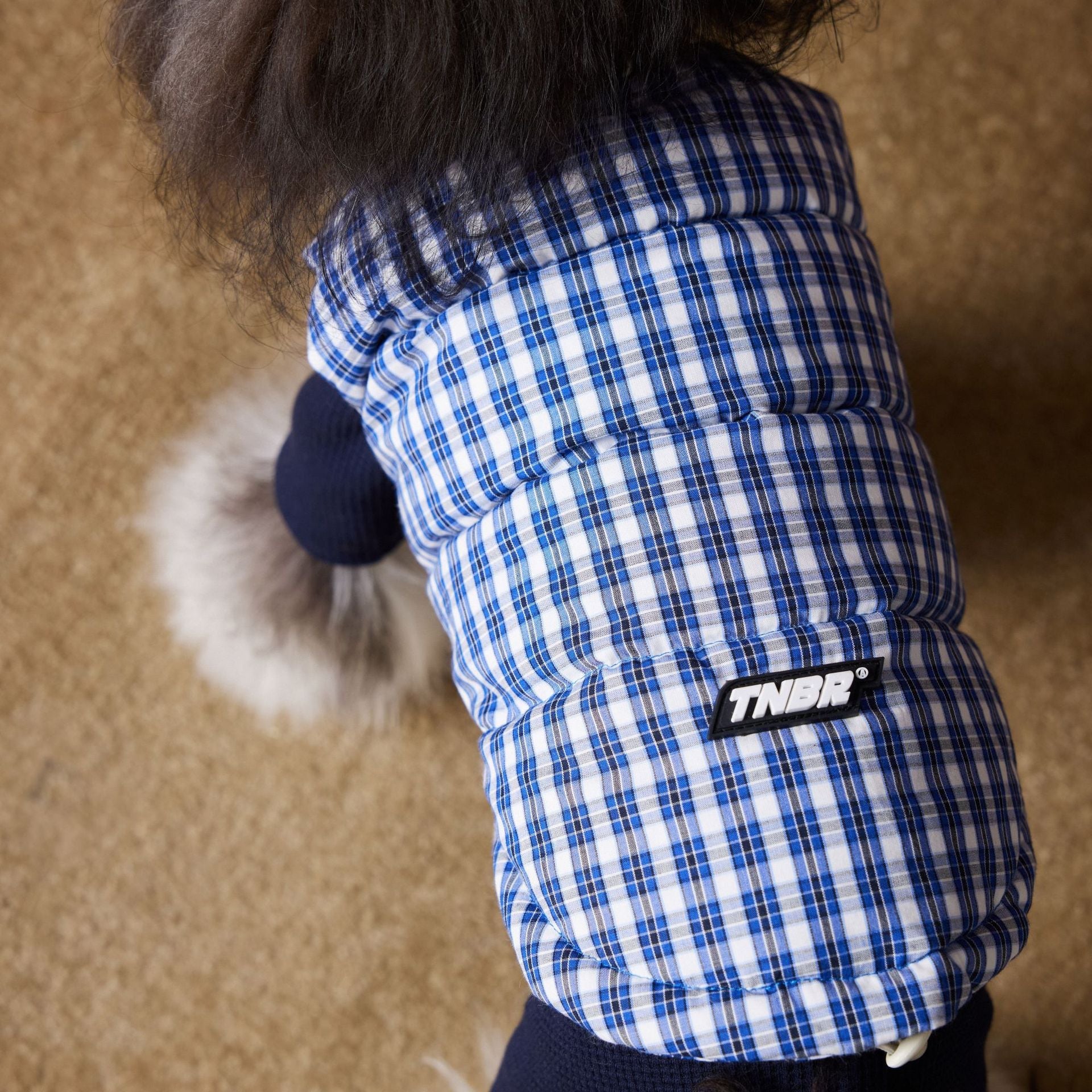 KFX-2156733 Blue Plaid Down Vest for Dogs - Autumn and Winter Casual Wear, Various Sizes Available